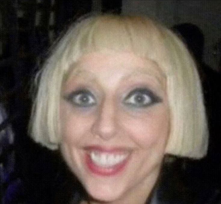 tom 🐑 tweet media