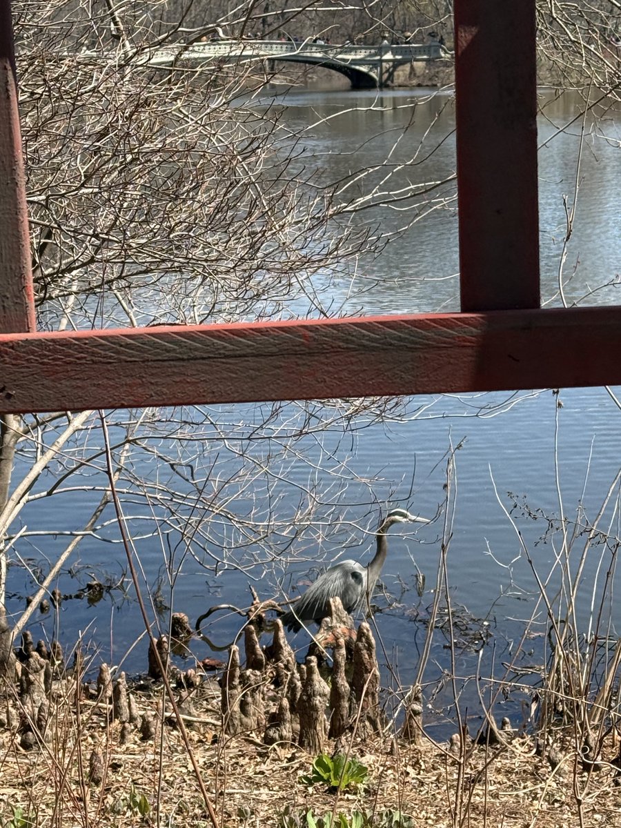 HPNY KNITS 🟧 tweet media