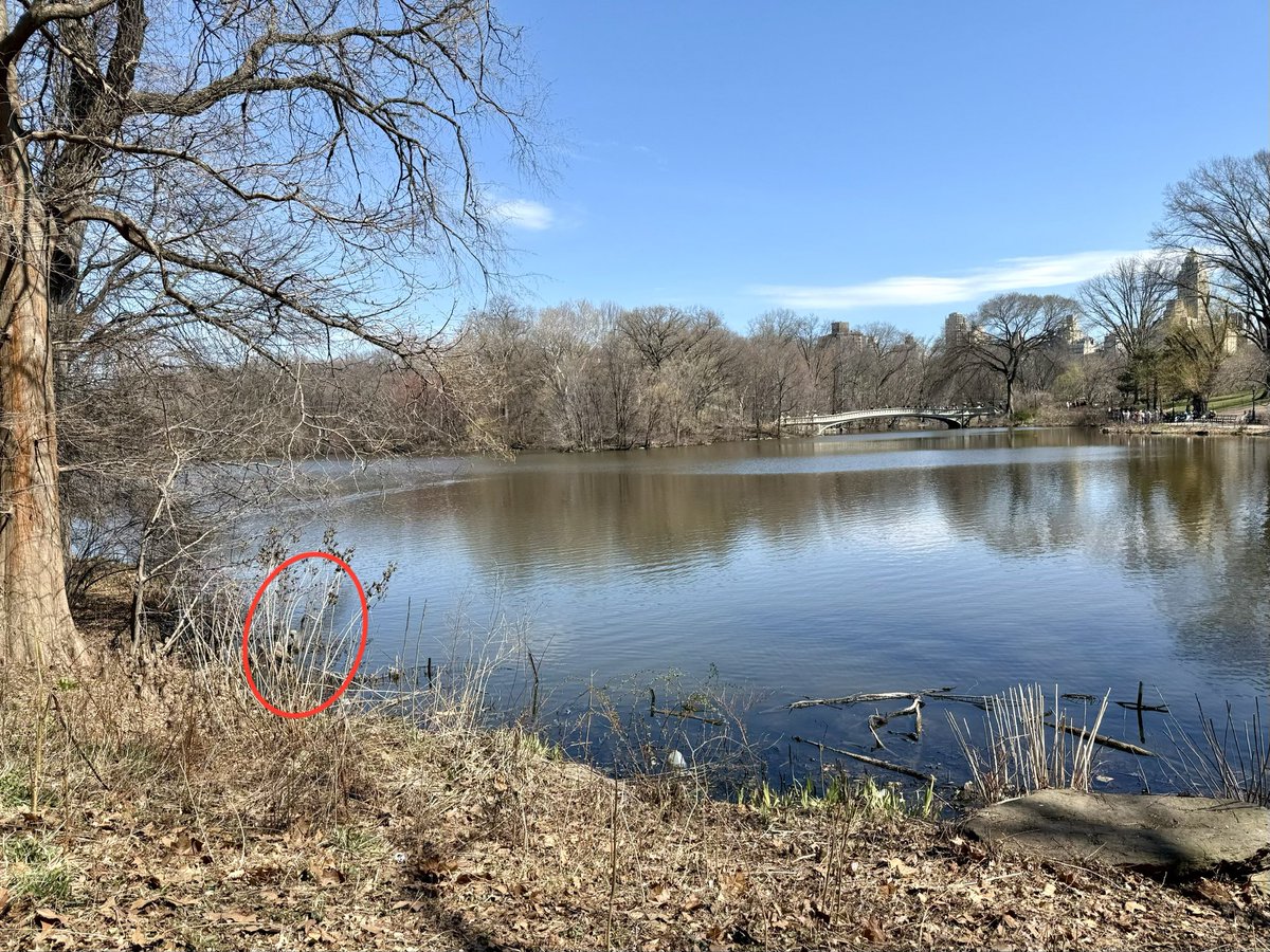 HPNY KNITS 🟧 tweet media