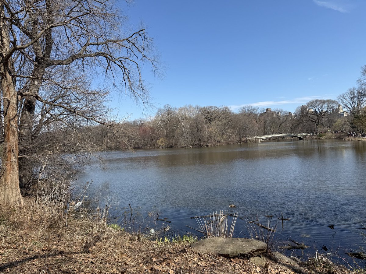 HPNY KNITS 🟧 tweet media