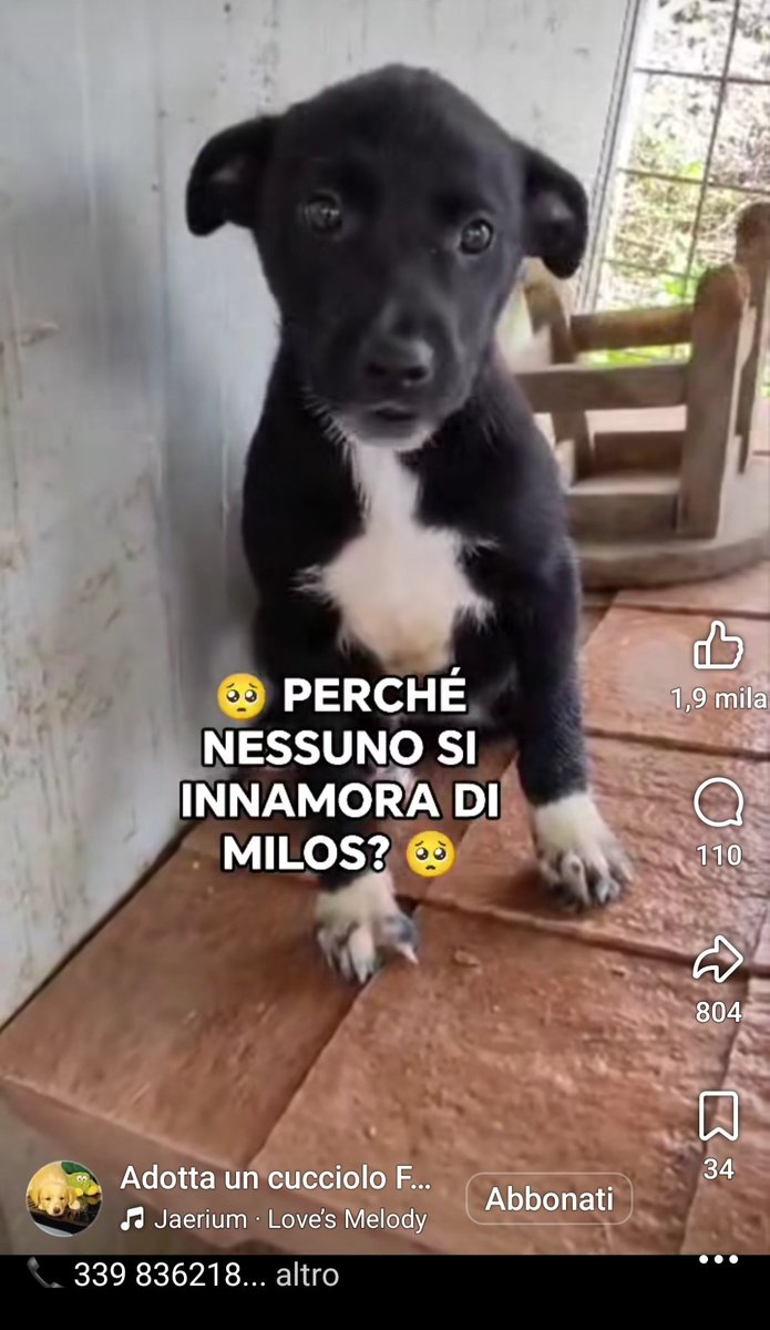 giuseppe esposito tweet media