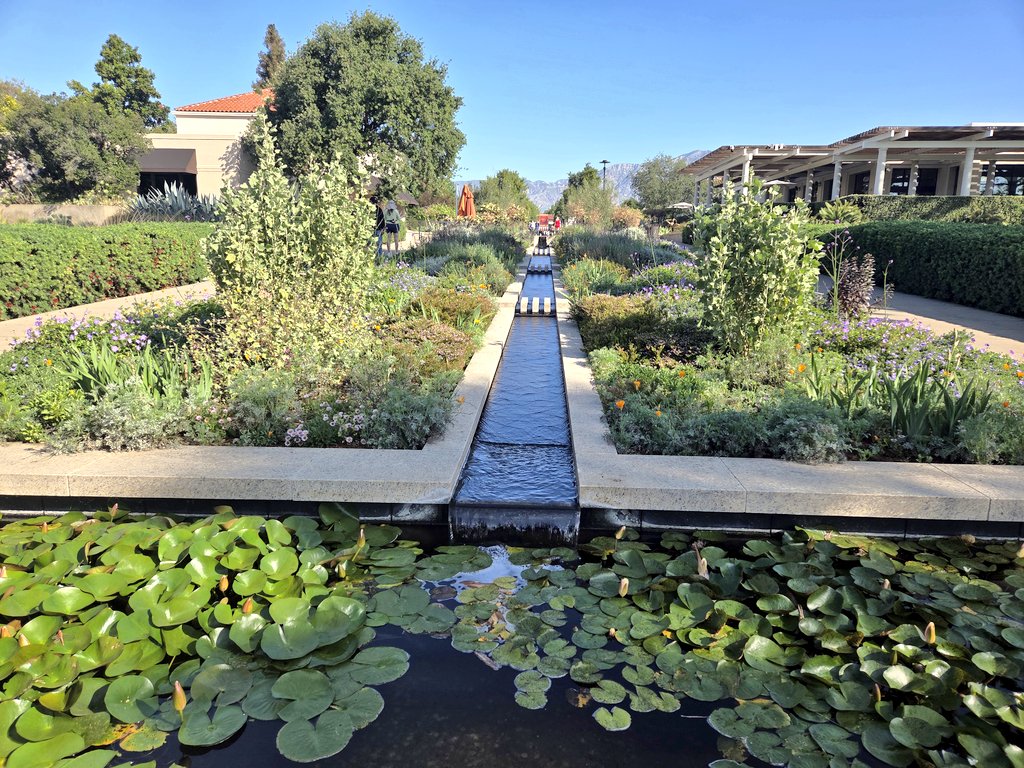 Daezie May tweet media