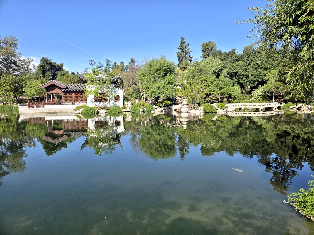 Daezie May tweet media