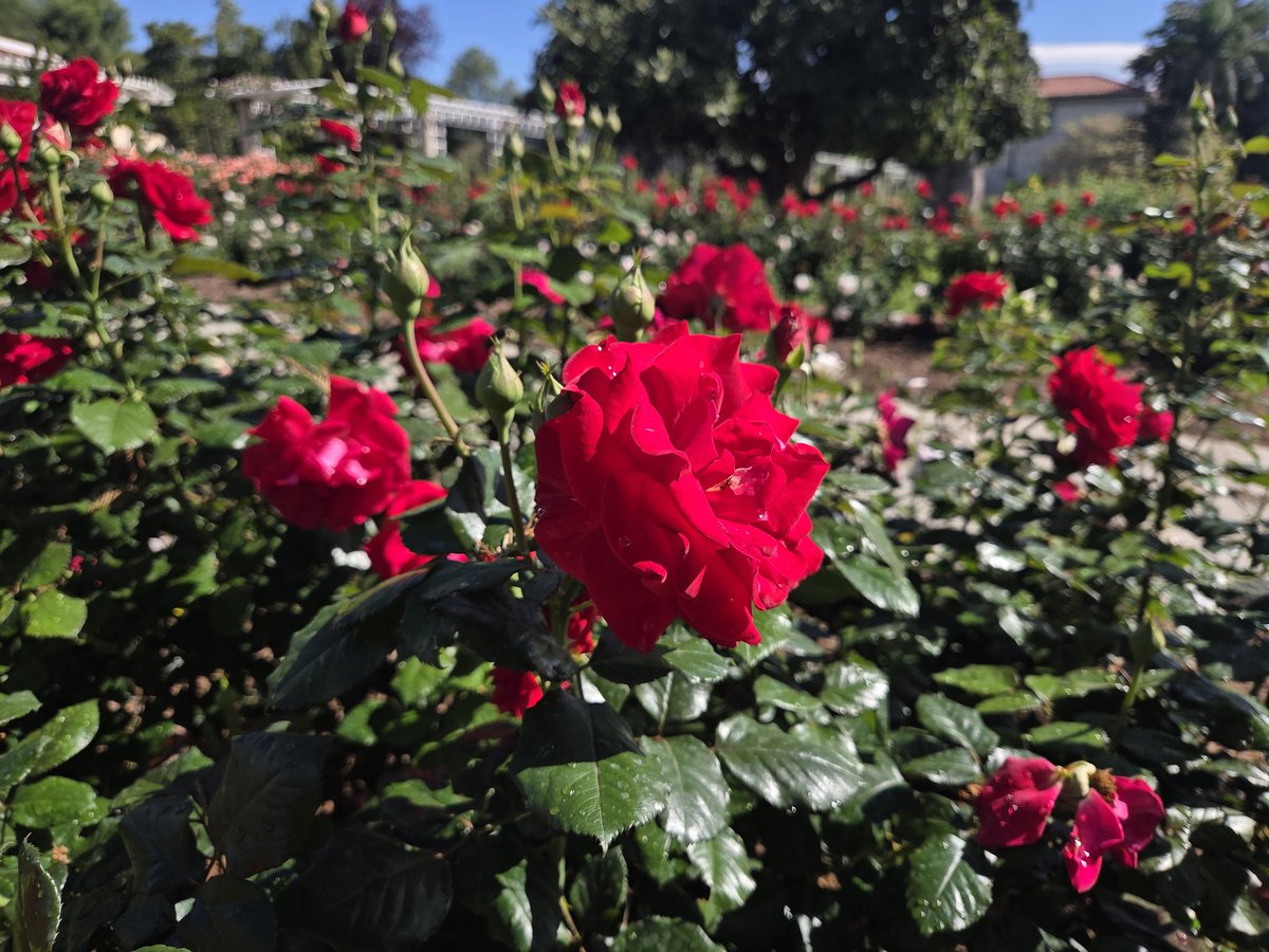 Daezie May tweet media