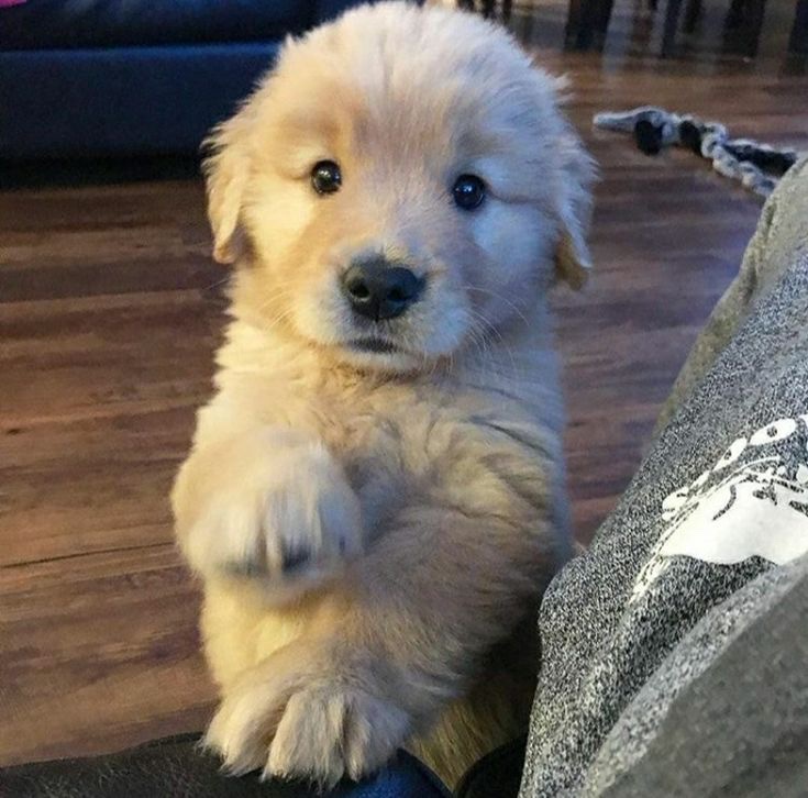 𝐌𝐚𝐭𝐭 𝐏𝐢𝐧𝐧𝐞𝐫 tweet media