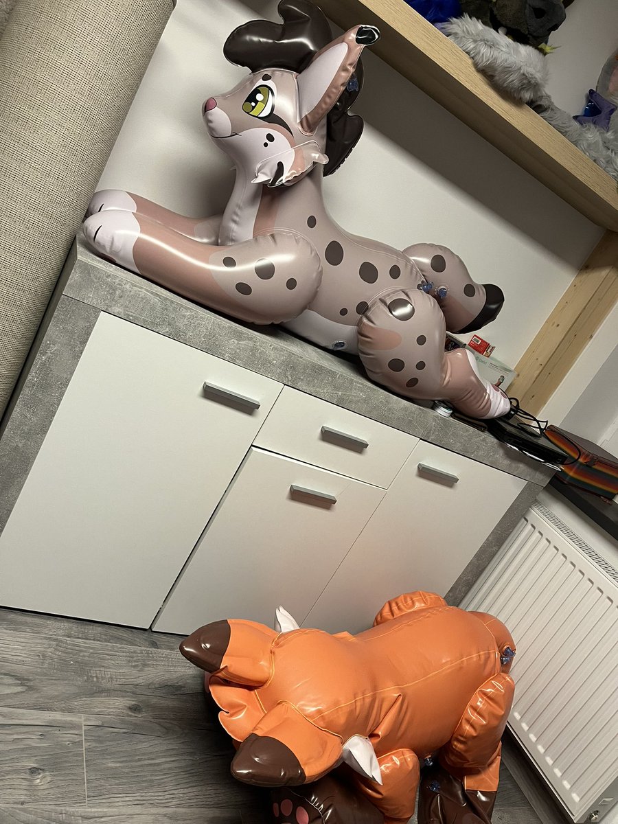 Gray (Grace) tweet media