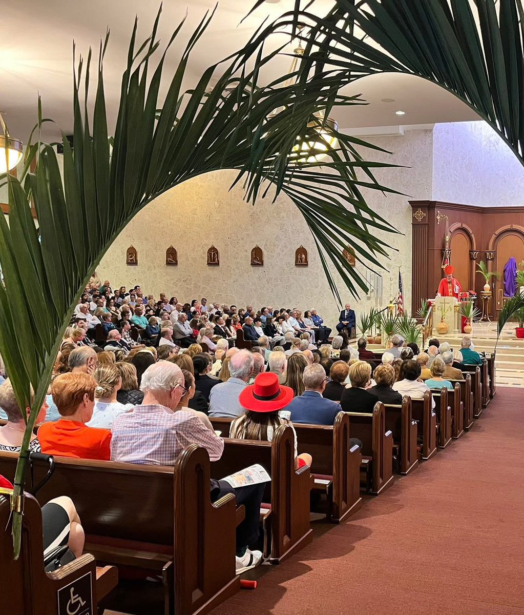 Sachin Jose tweet media