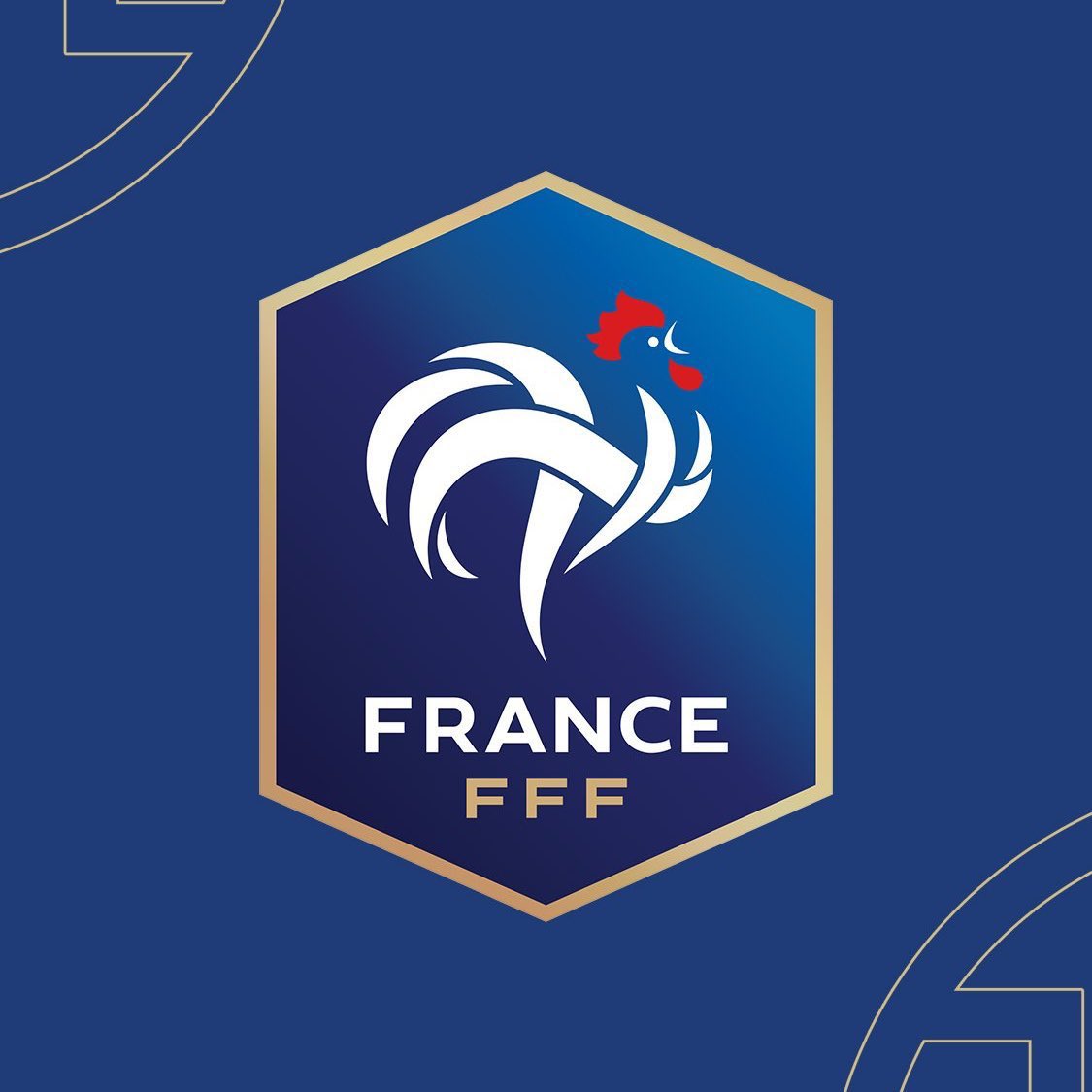 City Exclusives tweet media