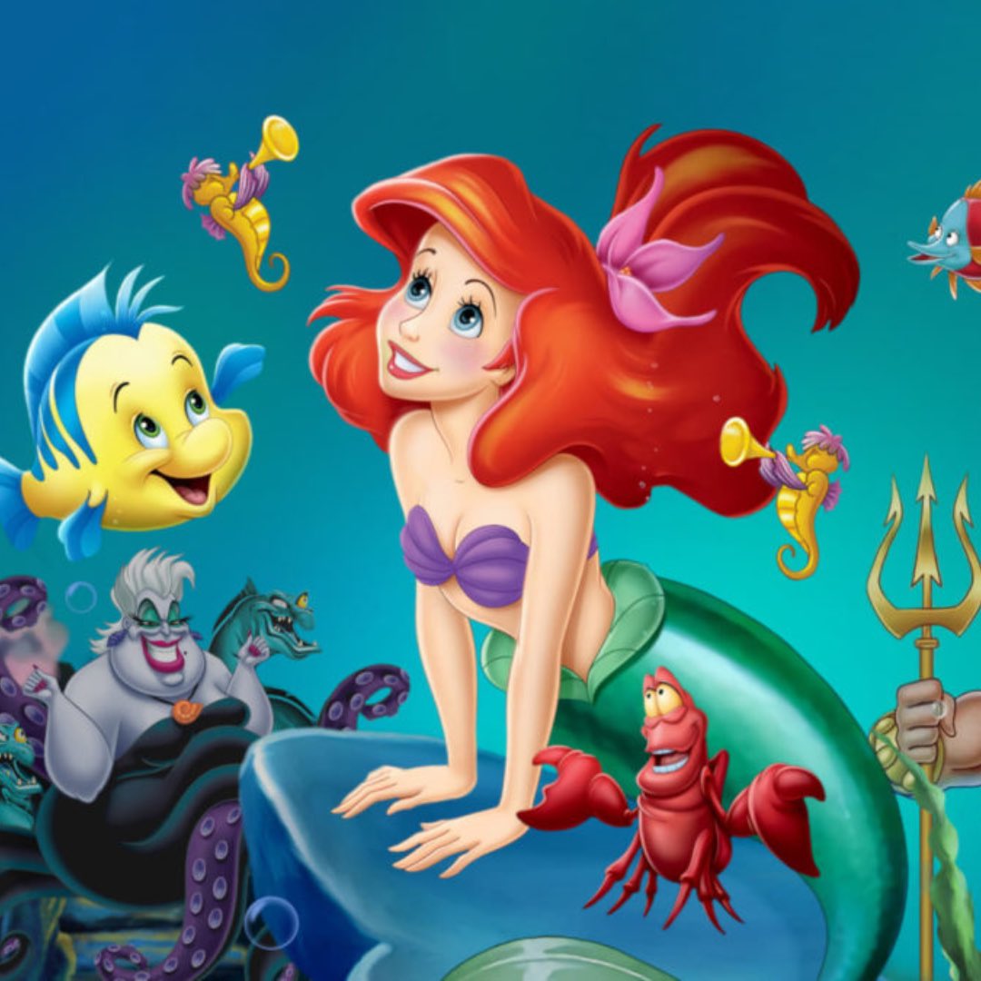 myo 🧸 tweet media