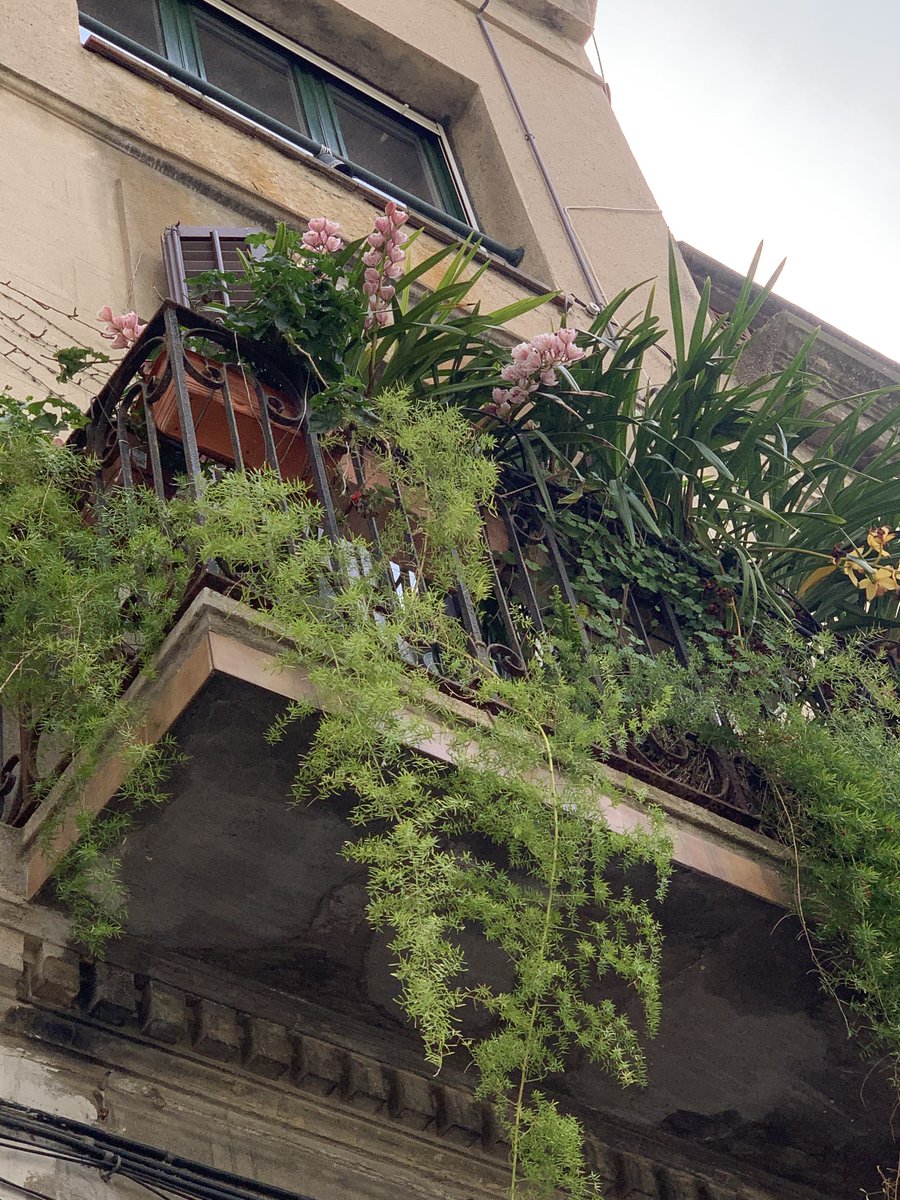 lili🎐 tweet media