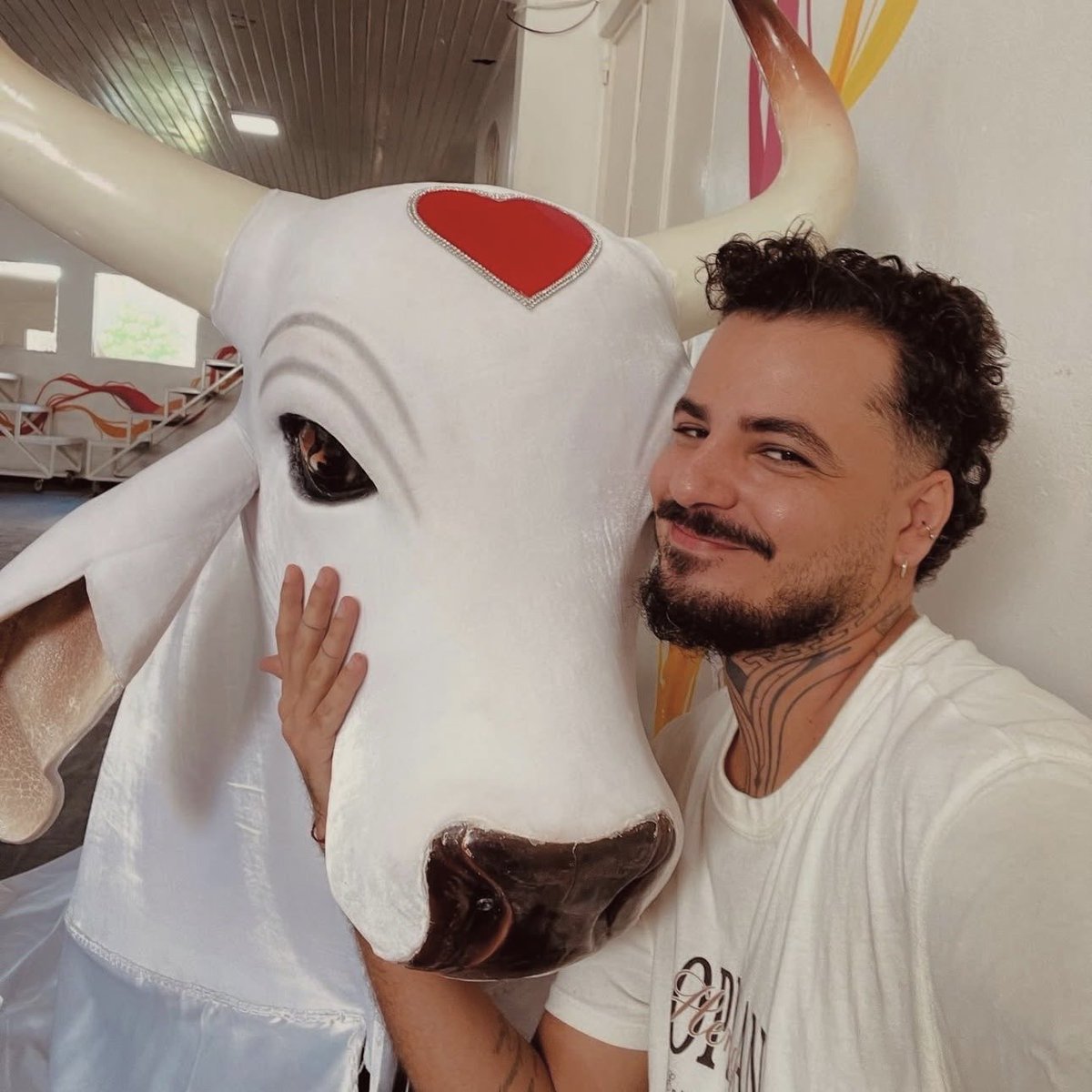 L. Babinski tweet media