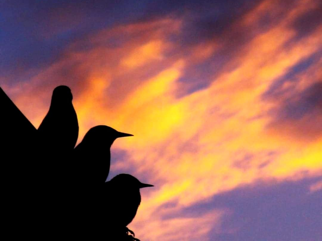 sweet daddy luv tweet media