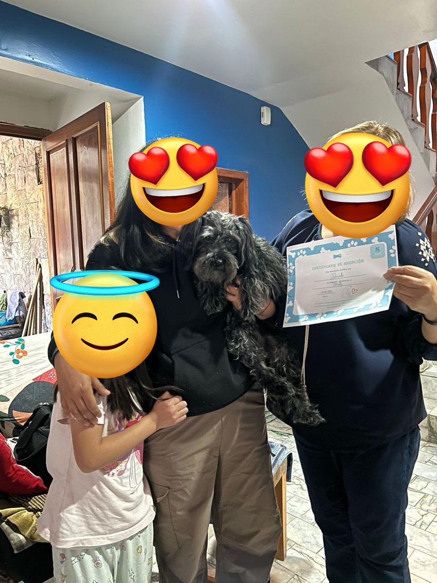 VIBRAmascotas's tweet photo. Por fin #FinalFeliz
#Adoptada #gracias
Pingüica ya está con su nueva familia muchas gracias nuevamente a todos los que nos ayudan a ayudar a estos chaparritos
Gracias por donar, gracias por adoptar , gracias por difundir
🙏🏼😍🙏🏼😍 https://t.co/IgRwlaL5z4