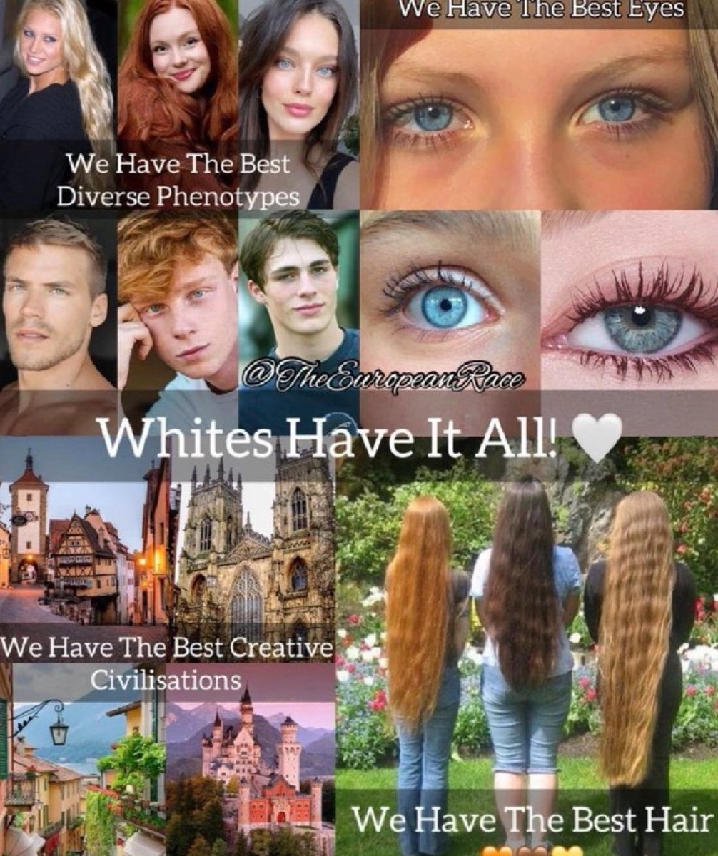 Ariontus tweet media