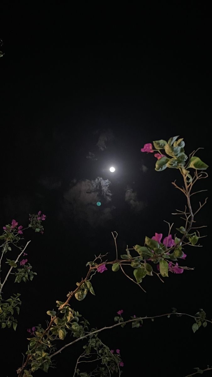 beyouu1122's tweet photo. 👁️#lunglenga https://t.co/7WE0bNUoRp
