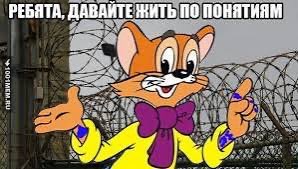 гражданка уебанка ☮️ tweet media