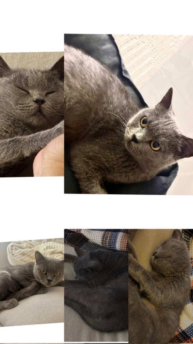 Masum Gözler tweet media