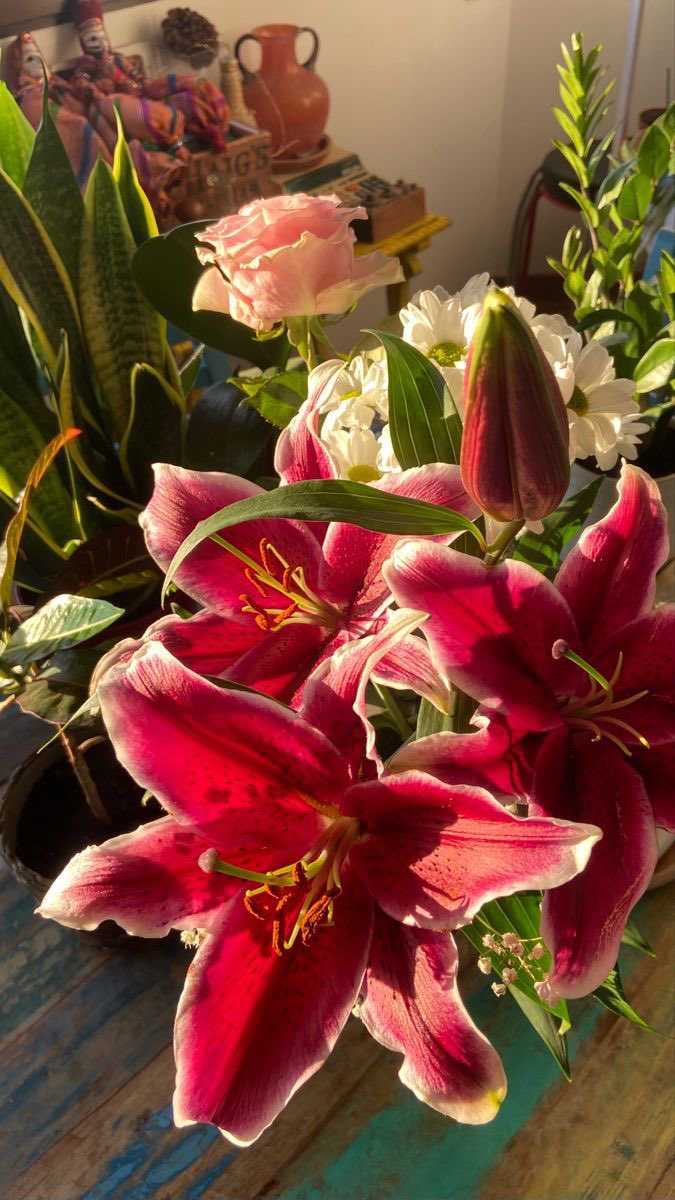 โ๏ธ tweet media