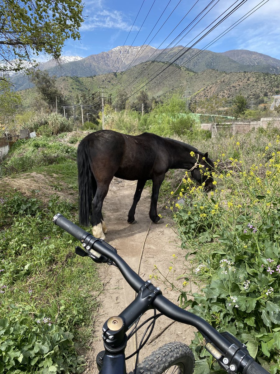 piphee24's tweet photo. Domingo 😎 🚲 https://t.co/77uORyxbyB