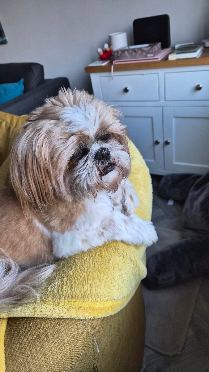 Bella🇬🇧 tweet media