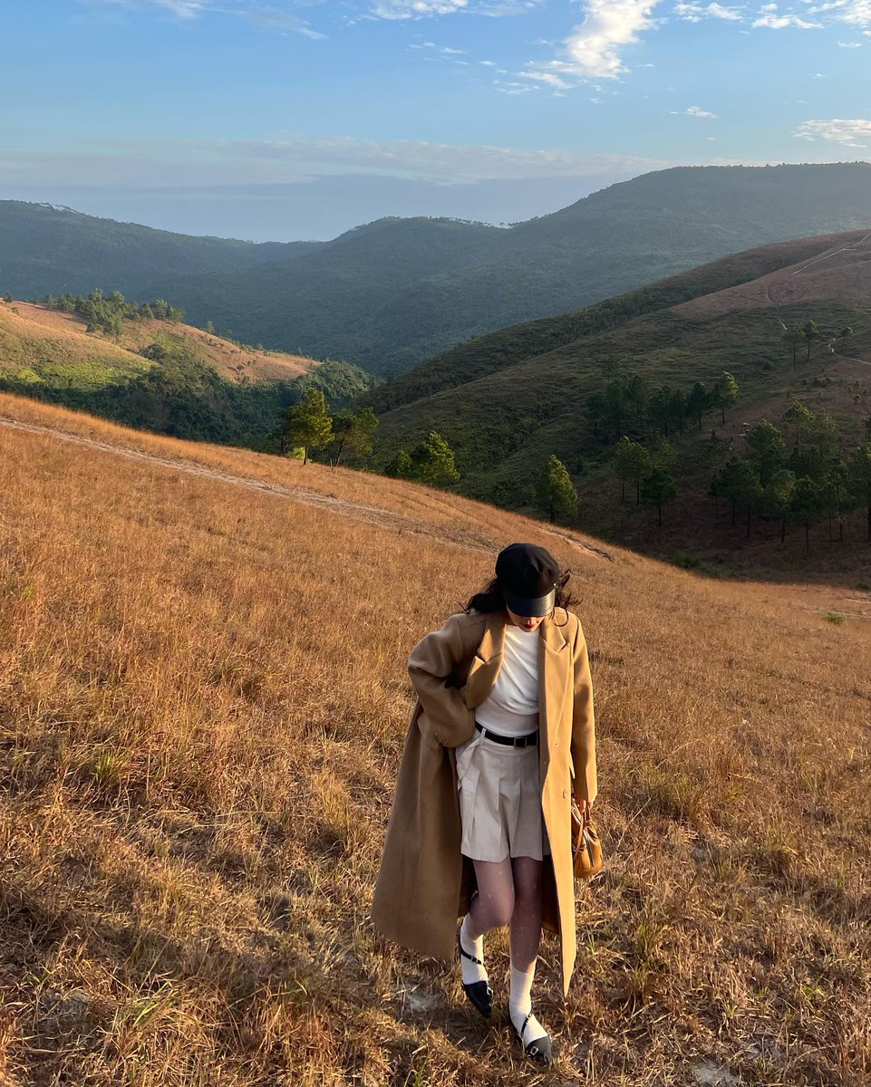 Francisco. tweet media