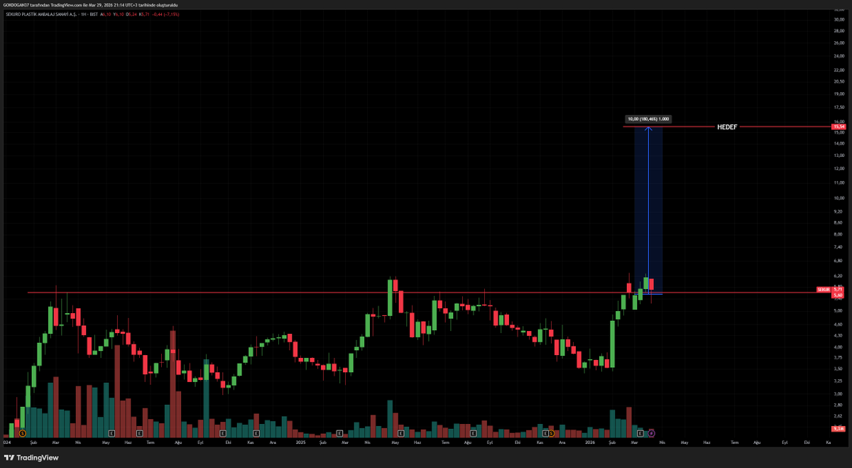 GokDogan tweet media