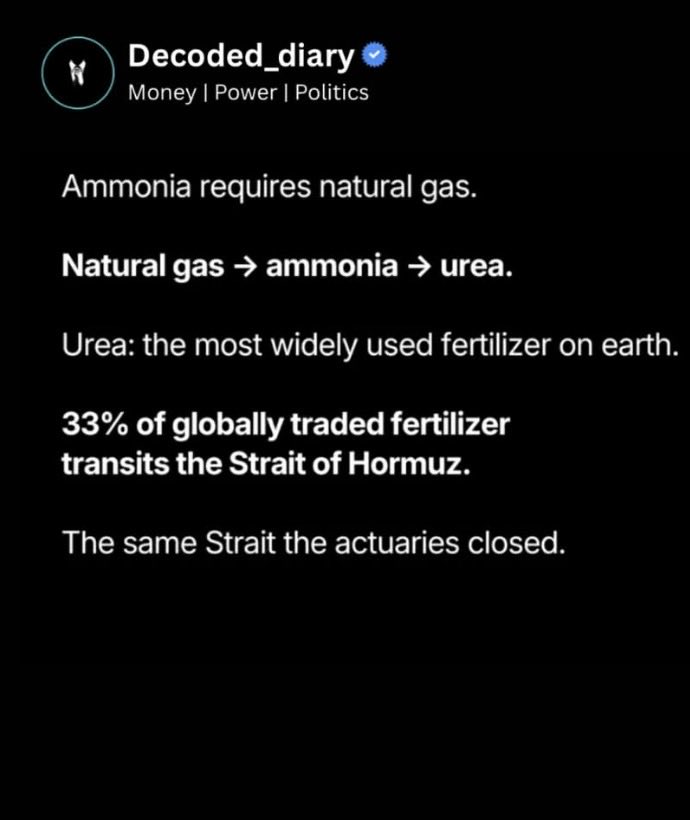 Mac McCabe tweet media