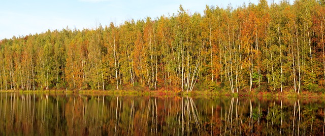 Sam Walters tweet media