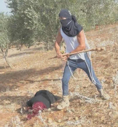 Natalie Bédard 🍉🌻🌿 tweet media