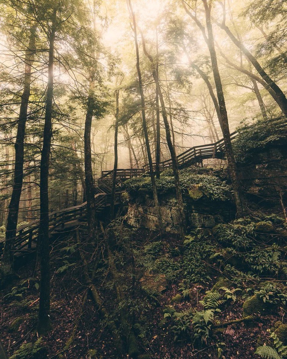 WestVirginia'sBlueRidge tweet media