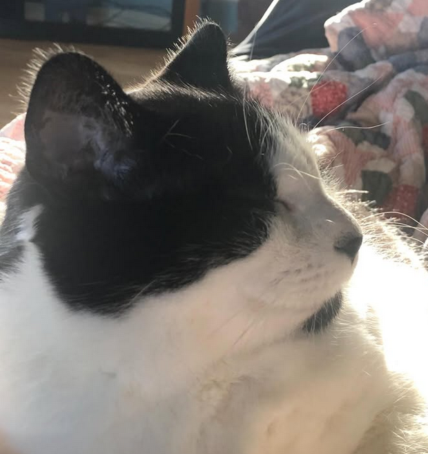 peaches tweet media