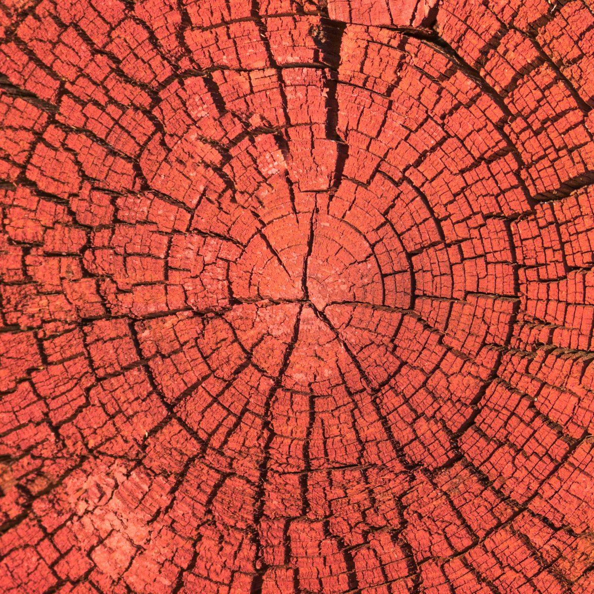 Ξ Η⊶ ┯ Ξ Η⊶ ┯μ Η μ tweet media