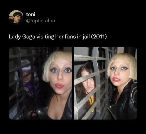 tom 🐑 tweet media