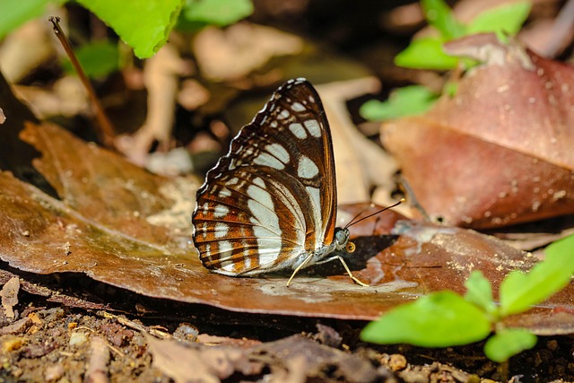 Alex Reyes tweet media
