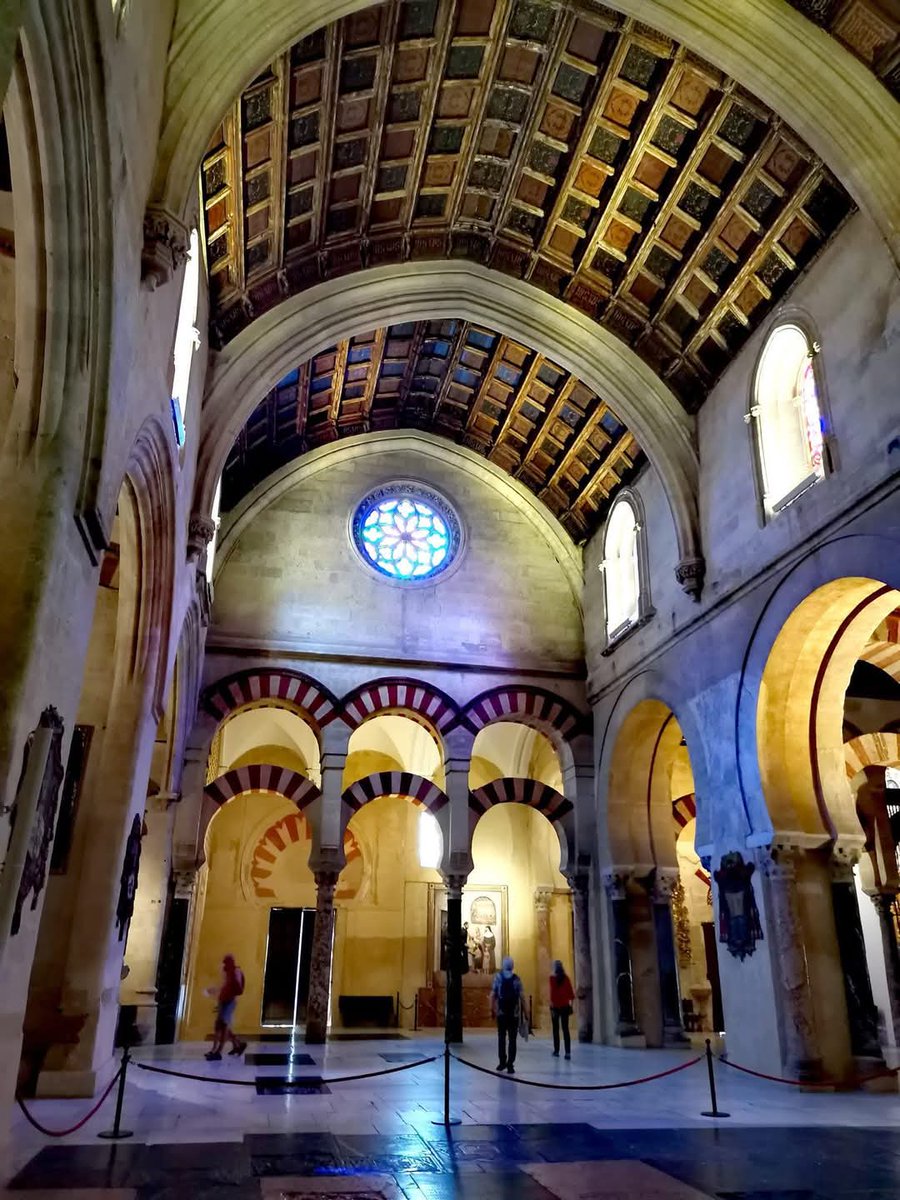 طــالــوم الــذهبــي tweet media