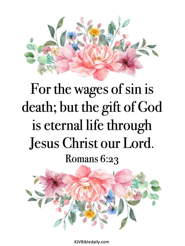 PatriotAsAMother 🇺🇸 tweet media