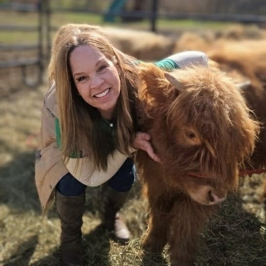 Aries_love417's tweet photo. Dolly is just the sweetest cow 🐮🤎 
Pure sunshine ☀️
So fun snuggling with her and decorating cookies!!🥰🍪🤍 #highlandcows  #weekendfun  #cookiedecorating https://t.co/VwGt2a8SIp