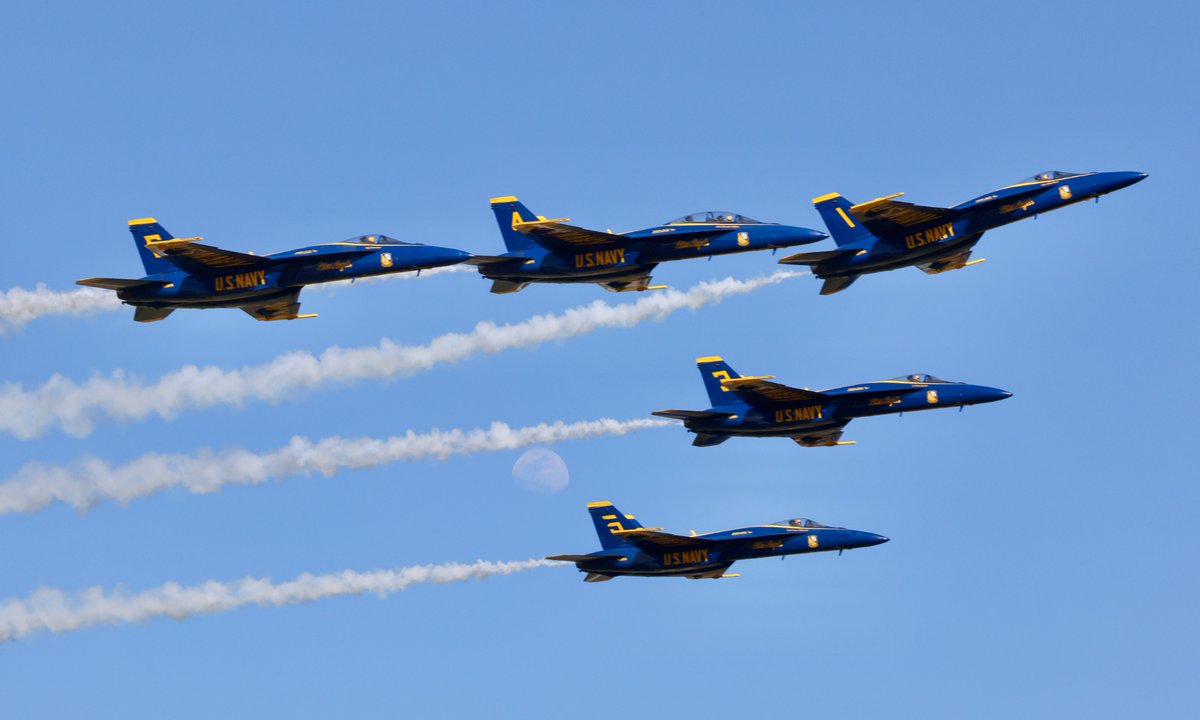 Tropical Cowboy of Danger tweet media