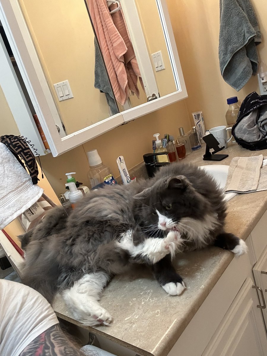 Justin🚀Time tweet media