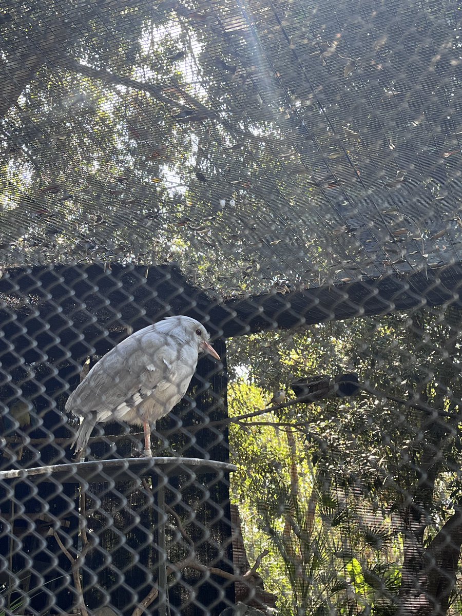 Sunshine tweet media