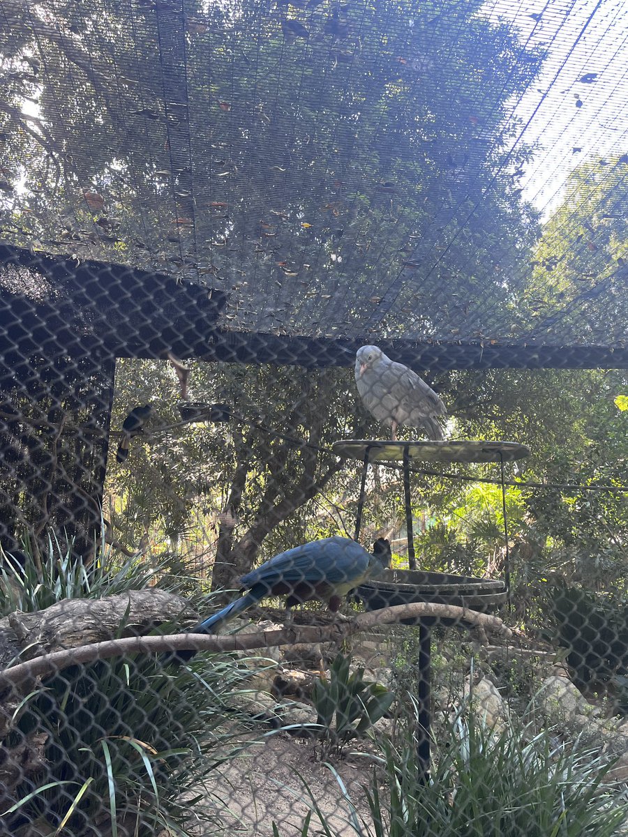 Sunshine tweet media