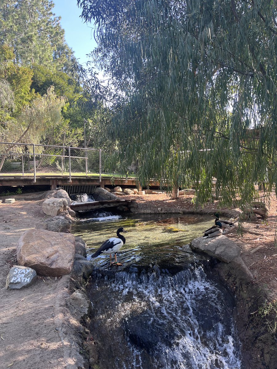 Sunshine tweet media