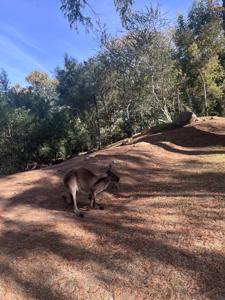 Sunshine tweet media