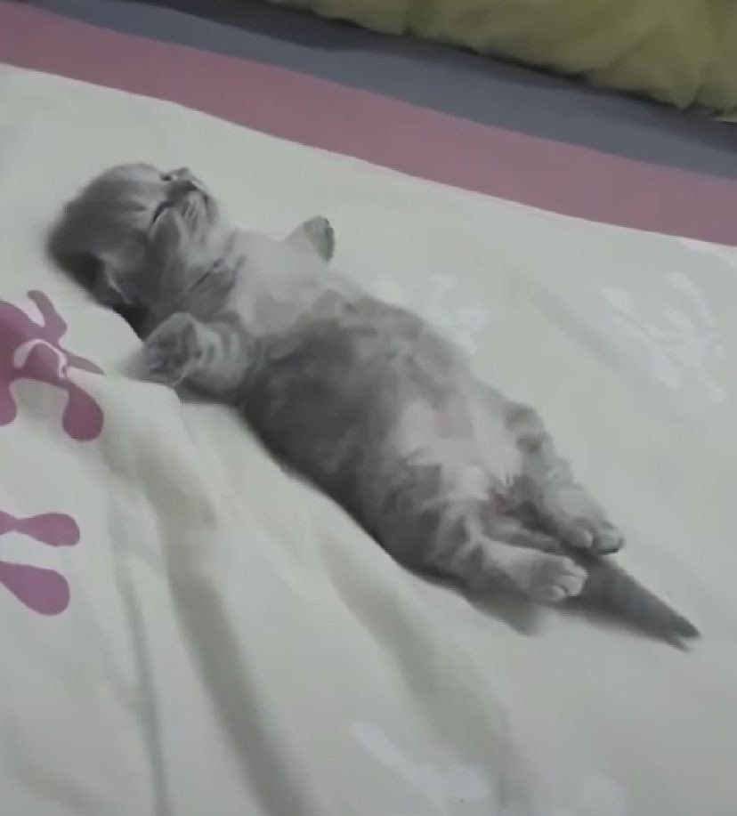 marta🎐 tweet media