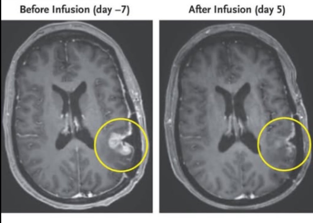 Science & Psychology tweet media
