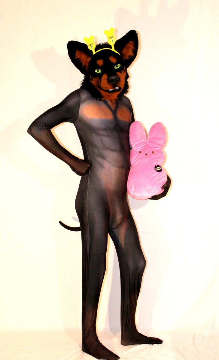 ferroequis tweet media