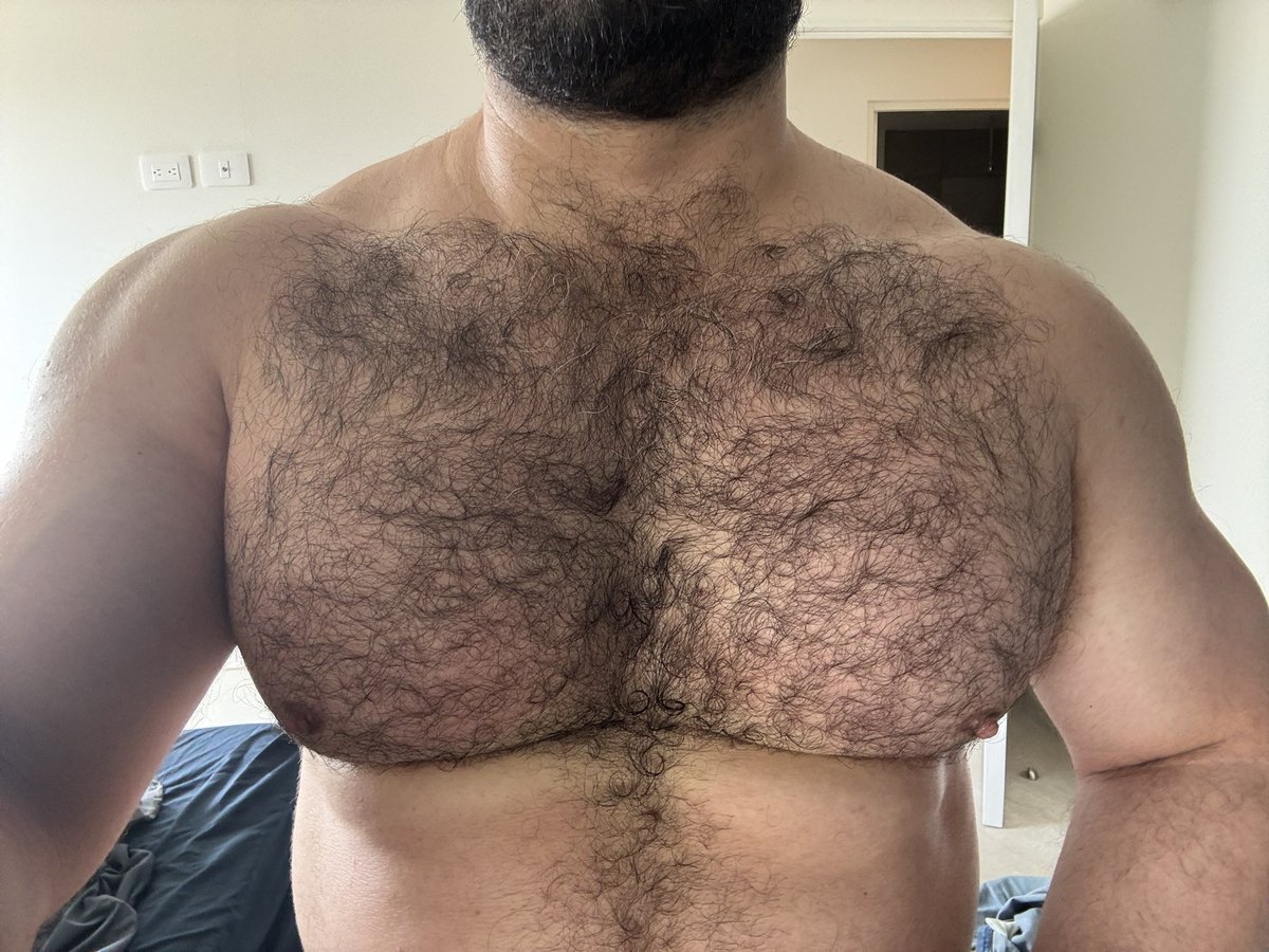 MexaBear  tweet media