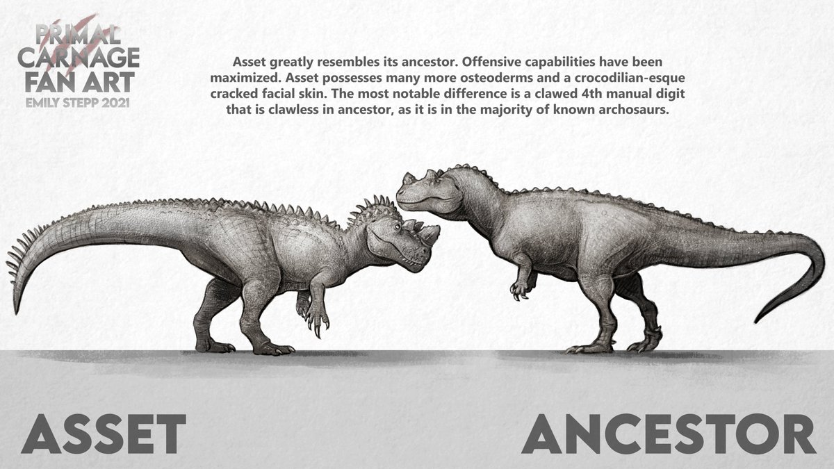 Emily Stepp tweet media