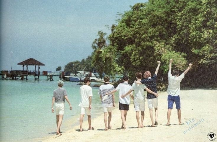 ✩ seeing bts tweet media