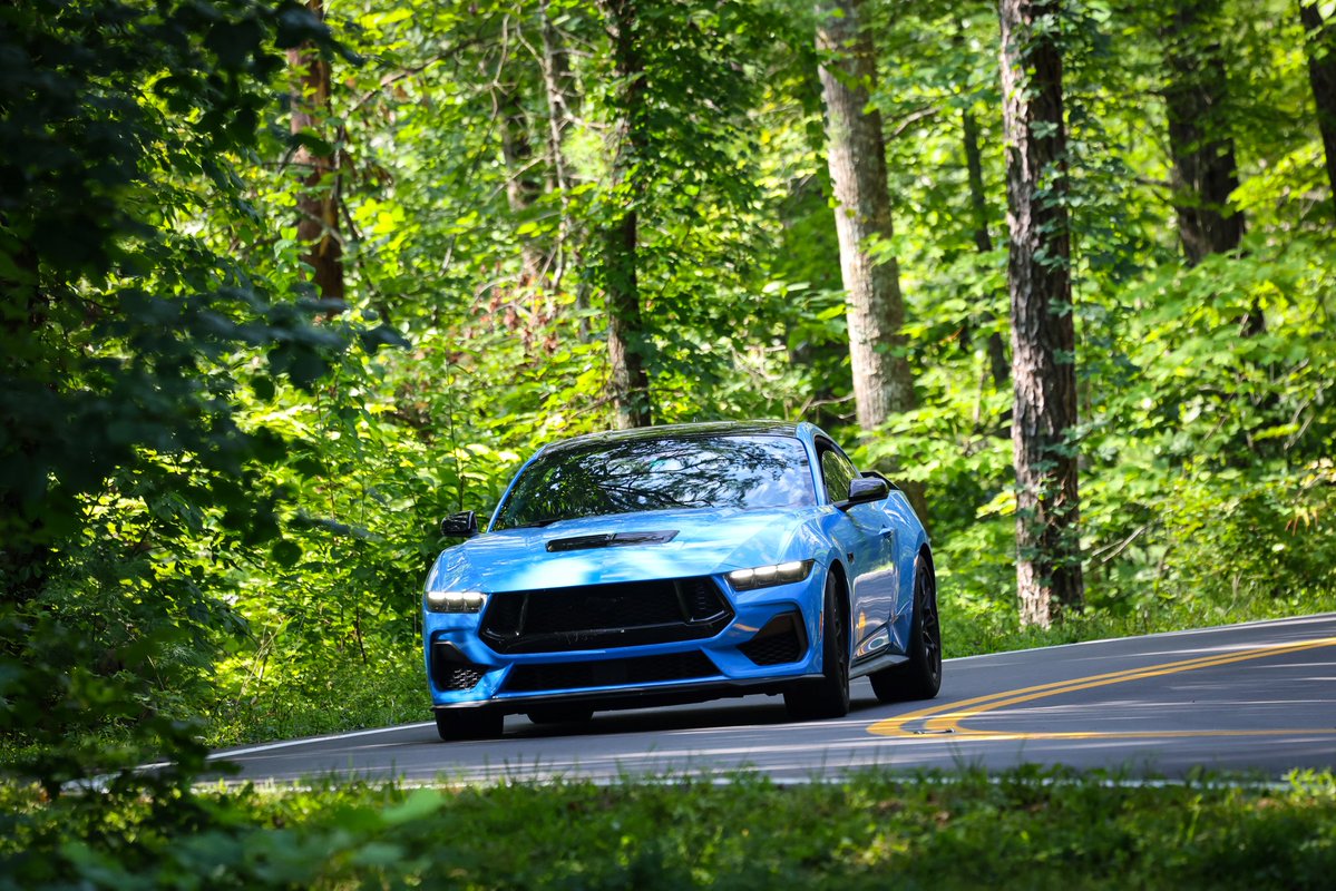 Obey Your Master 🌻 tweet media